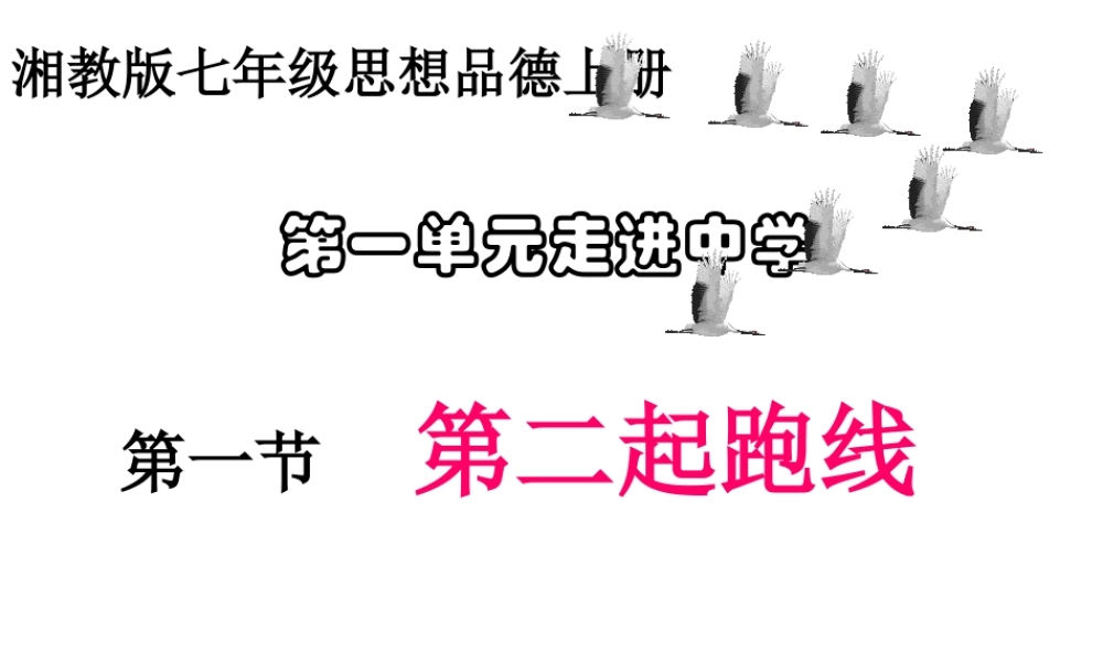 （2016年秋季版）七年级政治上册 第一单元 第一节 第二起跑线课件 湘教版（道德与法治）