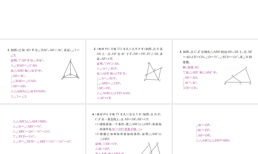 （云南专级数学上册 小专题5 全等三角形的性质与判定的综合作业课件 （新版）新人教版-（新版）新人教级上册数学课件