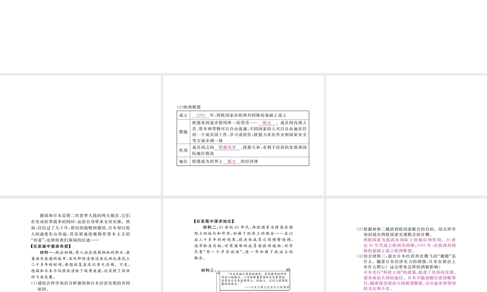 （全国版）九年级历史下册 第四单元 战后资本主义国家的变化 9 西欧和日本经济的发展练习课件 新人教版-新人教版初中九年级下册历史课件