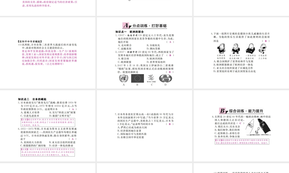 （全国版）九年级历史下册 第四单元 战后资本主义国家的变化 9 西欧和日本经济的发展练习课件 新人教版-新人教版初中九年级下册历史课件