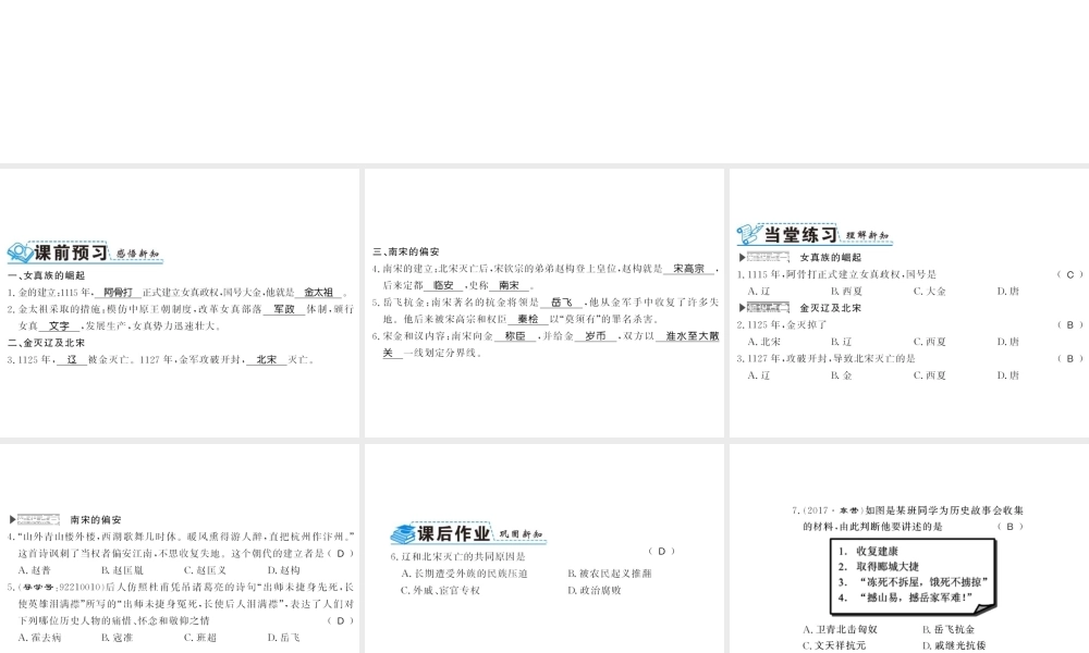 （北部湾级历史下册 第二单元 辽宋夏金元时期：民族关系发展和社会变化 第8课 金与南宋的对峙习题课件 新人教版-新人教级下册历史课件