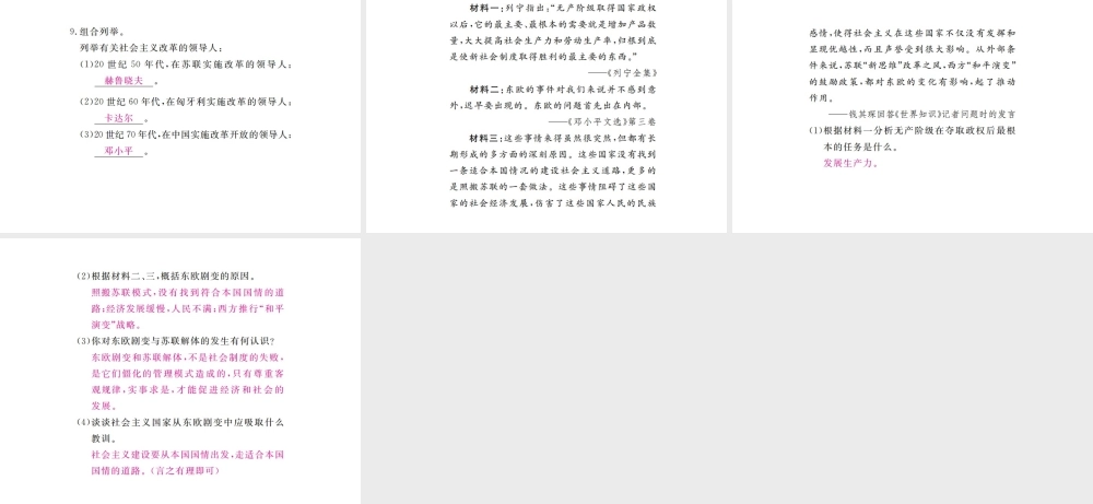 （全国版）九年级历史下册 第五单元 社会主义国家的改革与演变 11 东欧社会主义国家的改革与演变练习课件 新人教版-新人教版初中九年级下册历史课件