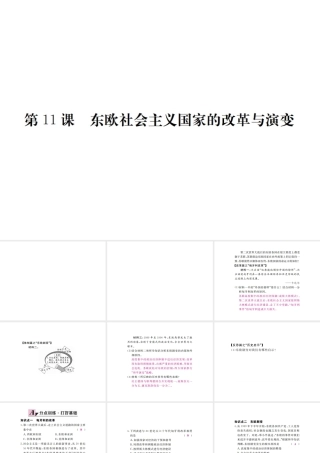 （全国版）九年级历史下册 第五单元 社会主义国家的改革与演变 11 东欧社会主义国家的改革与演变练习课件 新人教版-新人教版初中九年级下册历史课件