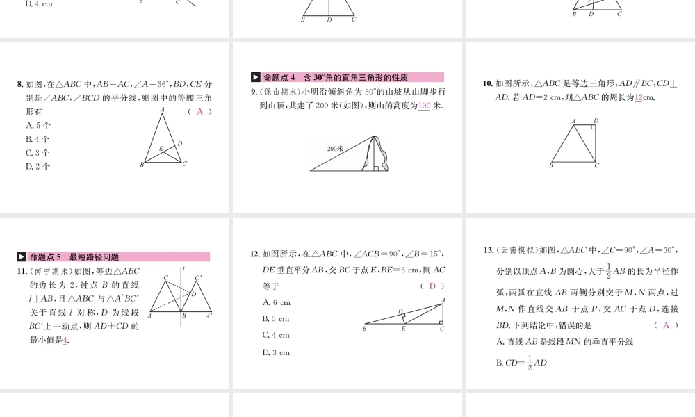 （云南专级数学上册 章末复习（三）轴对称作业课件 （新版）新人教版-（新版）新人教级上册数学课件