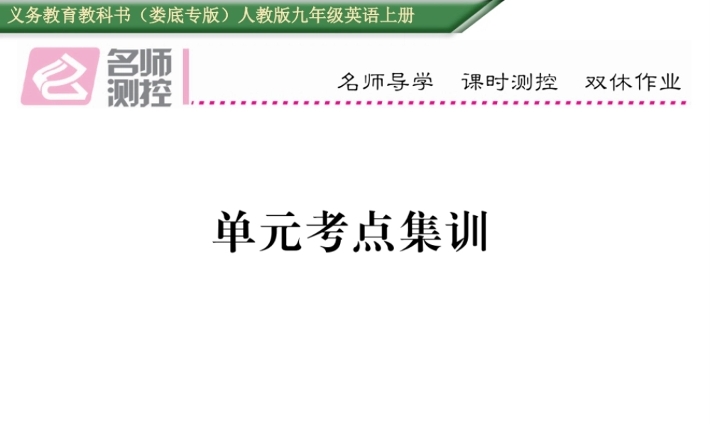 （娄底专版）秋九年级英语全册 Unit 7 Teenagers should be allowed to choose their own clothes考点集训课件 （新版）人教新目标版-（新版）人教新目标版初中九年级全册英语课件