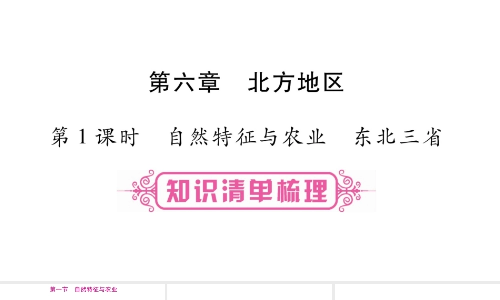 （人教版通用）中考地理总复习 八下 第6章 北方地区 第1课时 自然特征与农业 东北三省课件-人教版初中九年级全册地理课件