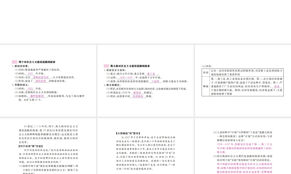（全国版）九年级历史下册 第一单元 苏联社会主义的探索 2 对社会主义道路的探索练习课件 新人教版-新人教版初中九年级下册历史课件