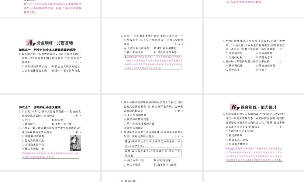 （全国版）九年级历史下册 第一单元 苏联社会主义的探索 2 对社会主义道路的探索练习课件 新人教版-新人教版初中九年级下册历史课件