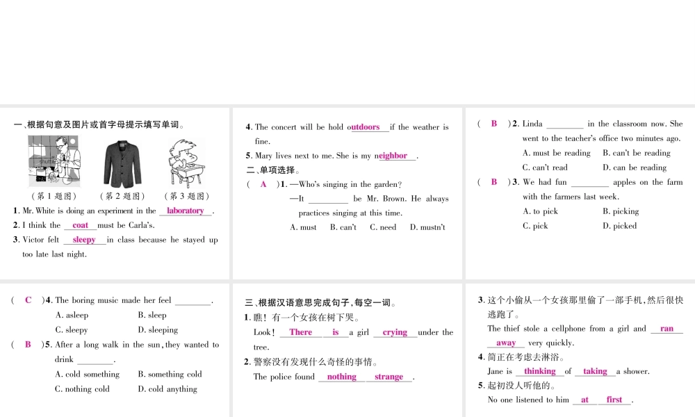 （娄底专版）秋九年级英语全册 Unit 8 It must belong to Carla（第4课时）课件 （新版）人教新目标版-（新版）人教新目标版初中九年级全册英语课件