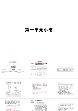 （全国版）九年级历史下册 第一单元 苏联社会主义的探索小结练习课件 新人教版-新人教版初中九年级下册历史课件