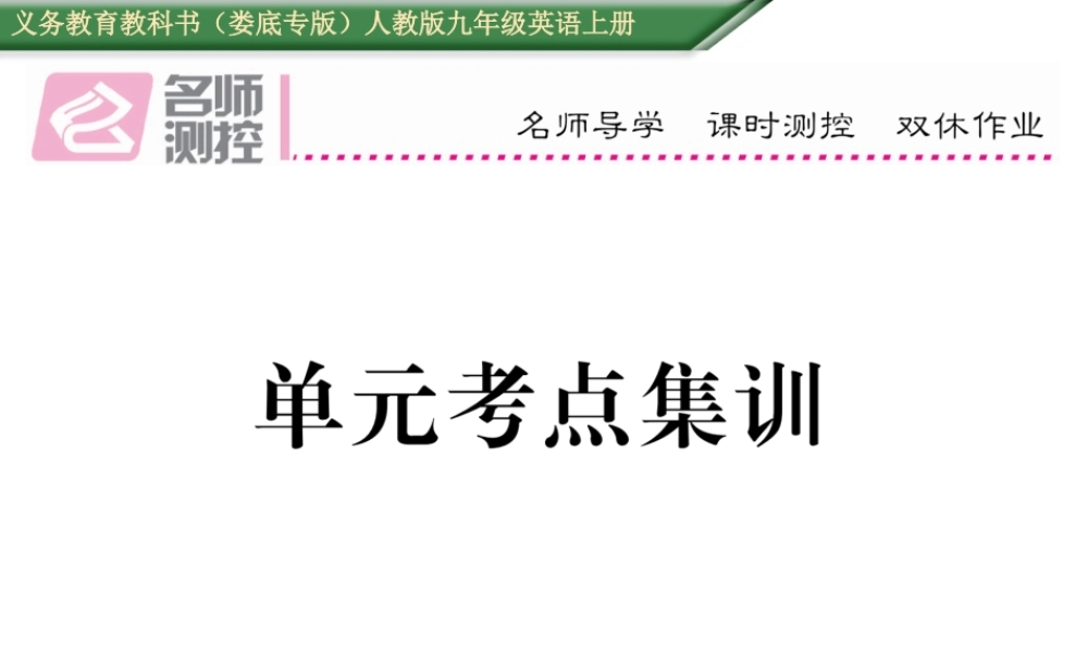 （娄底专版）秋九年级英语全册 Unit 8 It must belong to Carla考点集训课件 （新版）人教新目标版-（新版）人教新目标版初中九年级全册英语课件