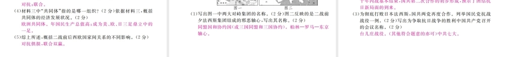 （全国版）九年级历史下册 期中检测卷课件 新人教版-新人教版初中九年级下册历史课件
