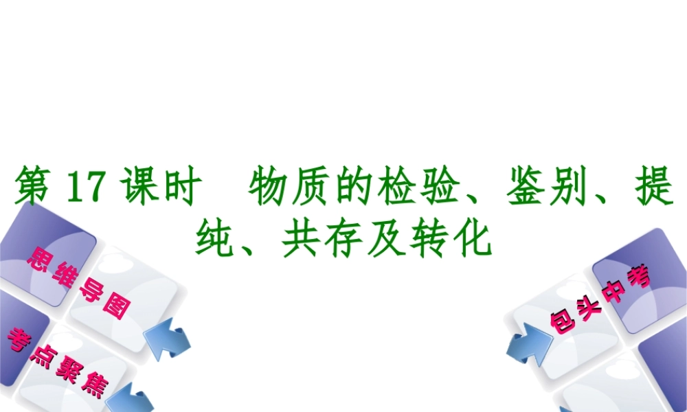 （包头专版）中考化学复习方案 第17课时 物质的检验、鉴别、提纯、共存及转化课件-人教版初中九年级全册化学课件