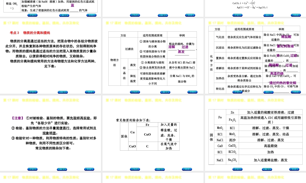 （包头专版）中考化学复习方案 第17课时 物质的检验、鉴别、提纯、共存及转化课件-人教版初中九年级全册化学课件