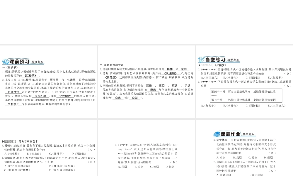 （北部湾专版）七年级历史下册 第三单元 明清时期：统一多民族国家的巩固与发展 第21课 清朝前期的文学艺术习题课件 新人教版-新人教版初中七年级下册历史课件