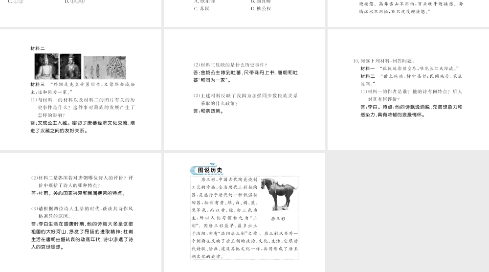 （北部湾专版）七年级历史下册 第一单元 隋唐时期：繁荣与开放的时代 第3课 盛唐气象习题课件 新人教版-新人教版初中七年级下册历史课件