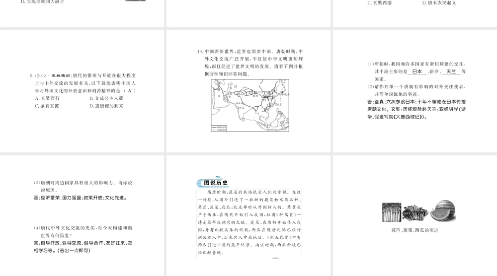 （北部湾专版）七年级历史下册 第一单元 隋唐时期：繁荣与开放的时代 第4课 唐朝的中外文化交流习题课件 新人教版-新人教版初中七年级下册历史课件