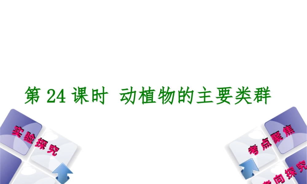 （北京专版）中考生物复习方案 主题八 生物的多样性 第24课时 动植物的主要类群课件-人教版初中九年级全册生物课件
