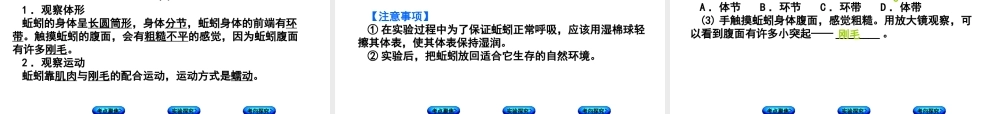 （北京专版）中考生物复习方案 主题八 生物的多样性 第24课时 动植物的主要类群课件-人教版初中九年级全册生物课件