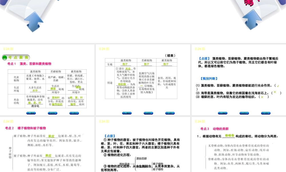 （北京专版）中考生物复习方案 主题八 生物的多样性 第24课时 动植物的主要类群课件-人教级全册生物课件