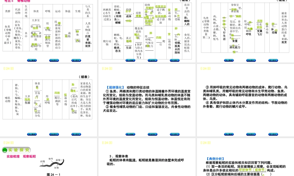 （北京专版）中考生物复习方案 主题八 生物的多样性 第24课时 动植物的主要类群课件-人教级全册生物课件
