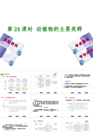 （北京专版）中考生物复习方案 主题八 生物的多样性 第24课时 动植物的主要类群课件-人教级全册生物课件