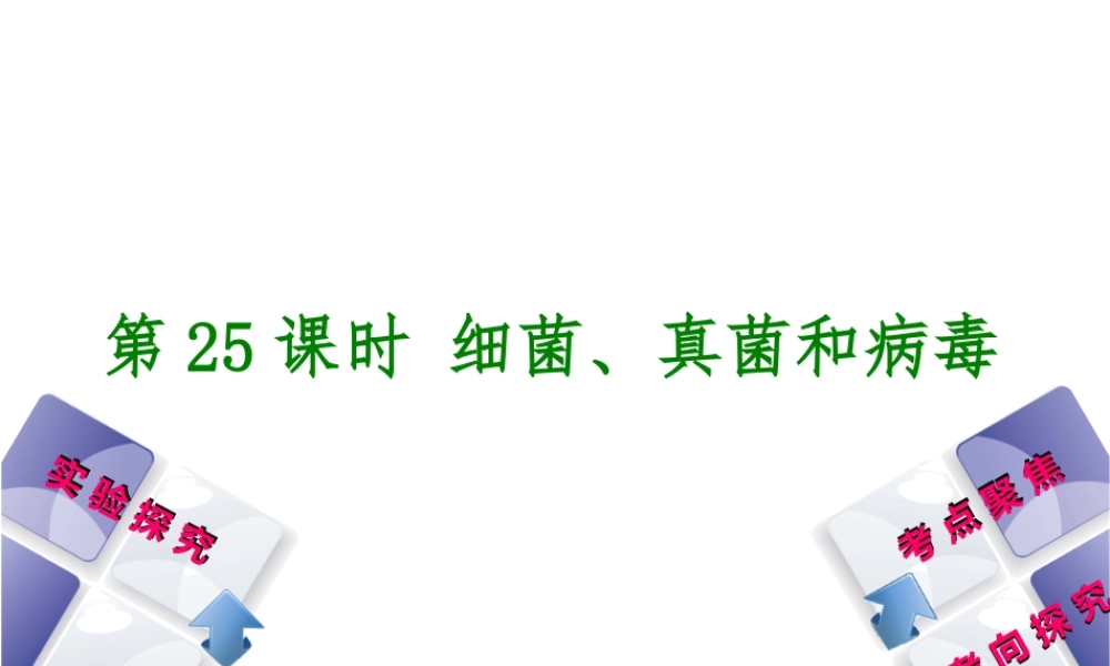 （北京专版）中考生物复习方案 主题八 生物的多样性 第25课时 细菌、真菌和病毒课件-人教级全册生物课件
