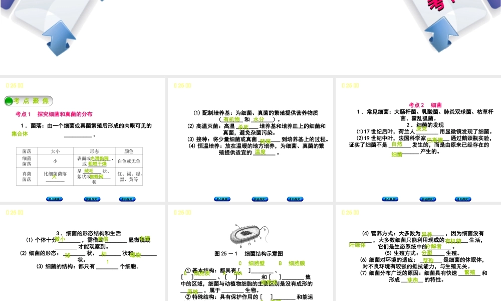 （北京专版）中考生物复习方案 主题八 生物的多样性 第25课时 细菌、真菌和病毒课件-人教级全册生物课件