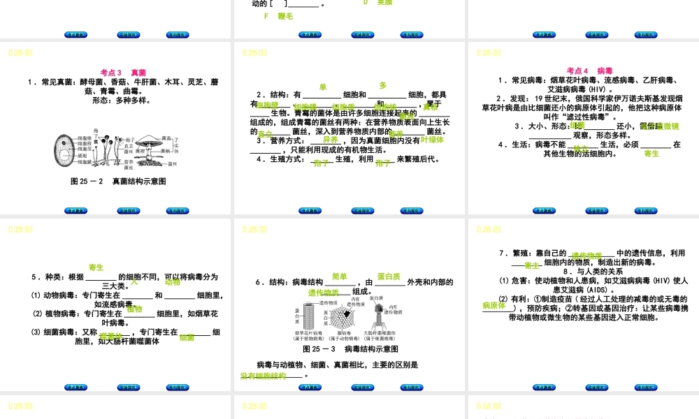 （北京专版）中考生物复习方案 主题八 生物的多样性 第25课时 细菌、真菌和病毒课件-人教级全册生物课件