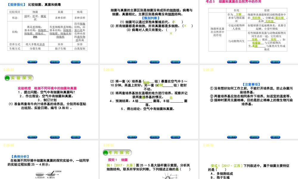 （北京专版）中考生物复习方案 主题八 生物的多样性 第25课时 细菌、真菌和病毒课件-人教级全册生物课件