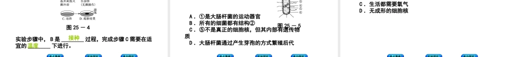 （北京专版）中考生物复习方案 主题八 生物的多样性 第25课时 细菌、真菌和病毒课件-人教级全册生物课件
