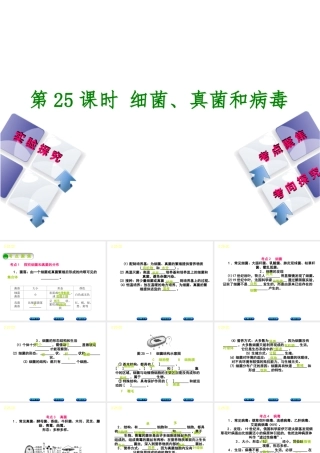 （北京专版）中考生物复习方案 主题八 生物的多样性 第25课时 细菌、真菌和病毒课件-人教级全册生物课件