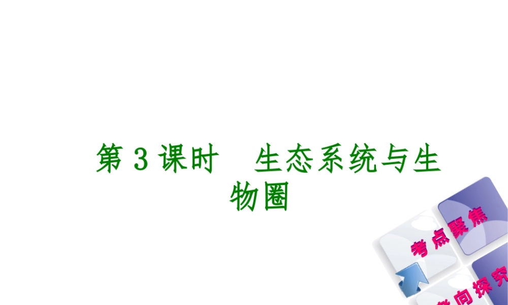 （北京专版）中考生物复习方案 主题二 生物与环境 第3课时 生态系统和生物圈课件-人教版初中九年级全册生物课件
