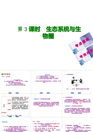 （北京专版）中考生物复习方案 主题二 生物与环境 第3课时 生态系统和生物圈课件-人教级全册生物课件