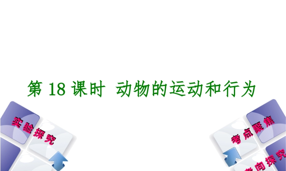 （北京专版）中考生物复习方案 主题六 动物的运动和行为 第18课时 动物的运动和行为课件-人教版初中九年级全册生物课件