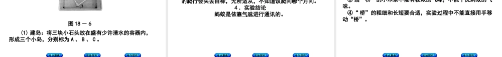 （北京专版）中考生物复习方案 主题六 动物的运动和行为 第18课时 动物的运动和行为课件-人教版初中九年级全册生物课件