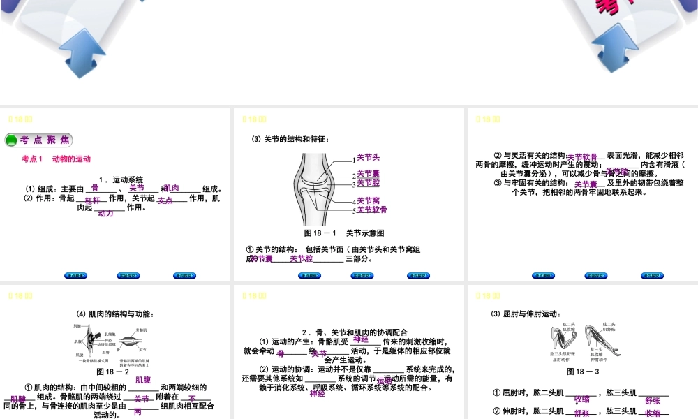 （北京专版）中考生物复习方案 主题六 动物的运动和行为 第18课时 动物的运动和行为课件-人教级全册生物课件