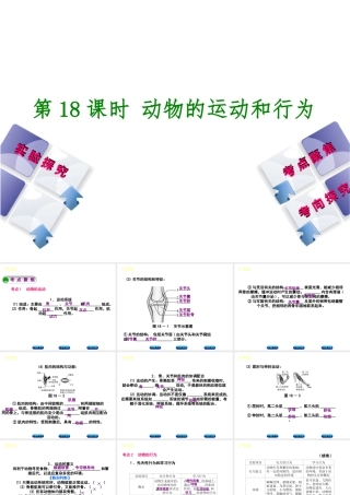 （北京专版）中考生物复习方案 主题六 动物的运动和行为 第18课时 动物的运动和行为课件-人教级全册生物课件