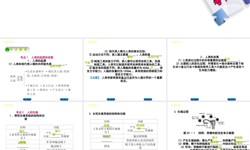 （北京专版）中考生物复习方案 主题七 生物的生殖、发育和遗传、变异 第 人的生殖和发育课件-人教级全册生物课件