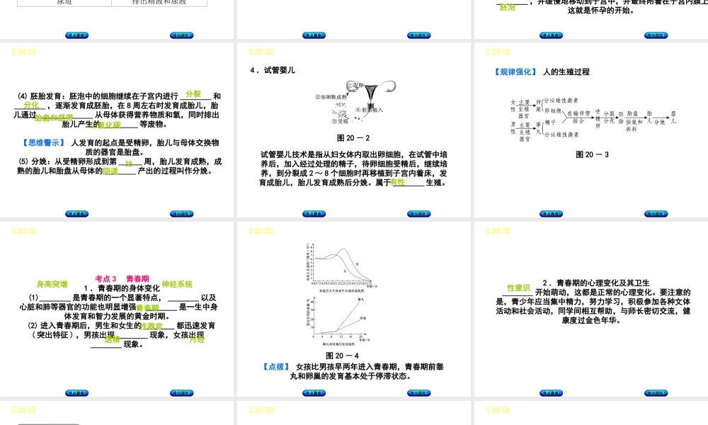 （北京专版）中考生物复习方案 主题七 生物的生殖、发育和遗传、变异 第 人的生殖和发育课件-人教级全册生物课件