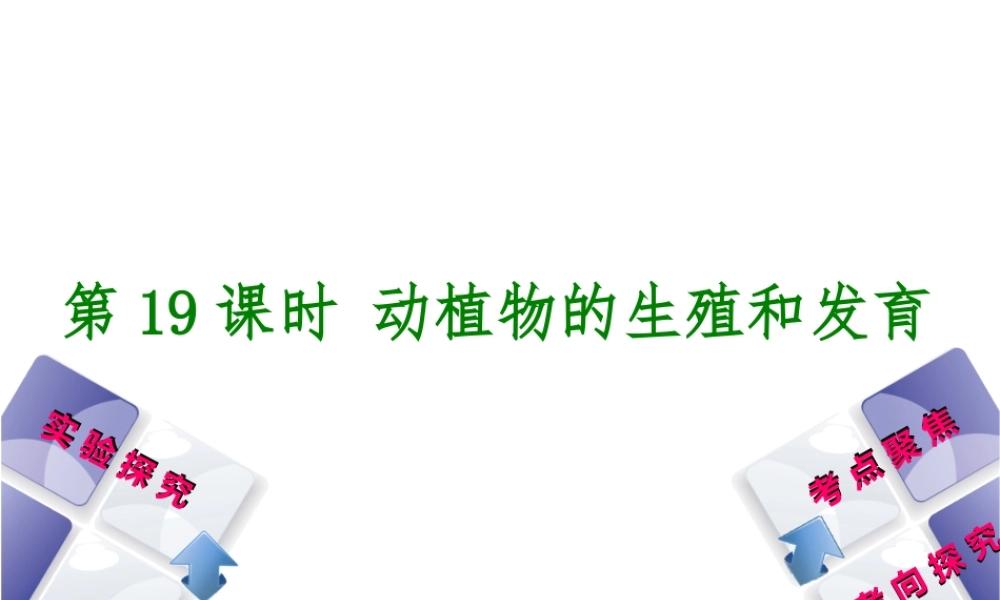 （北京专版）中考生物复习方案 主题七 生物的生殖、发育和遗传、变异 第19课时 动植物的生殖和发育课件-人教版初中九年级全册生物课件