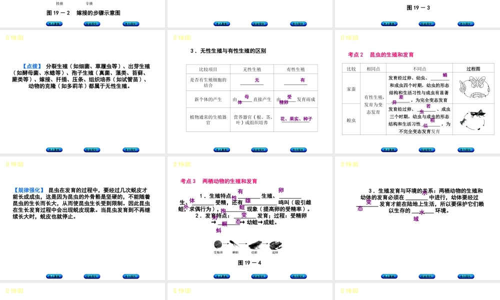 （北京专版）中考生物复习方案 主题七 生物的生殖、发育和遗传、变异 第19课时 动植物的生殖和发育课件-人教版初中九年级全册生物课件