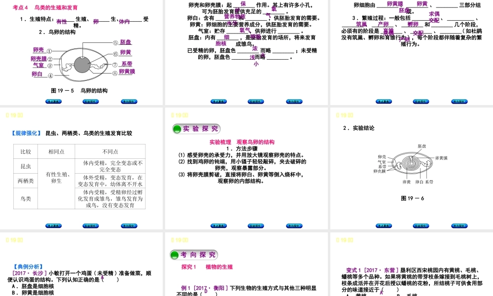 （北京专版）中考生物复习方案 主题七 生物的生殖、发育和遗传、变异 第19课时 动植物的生殖和发育课件-人教级全册生物课件