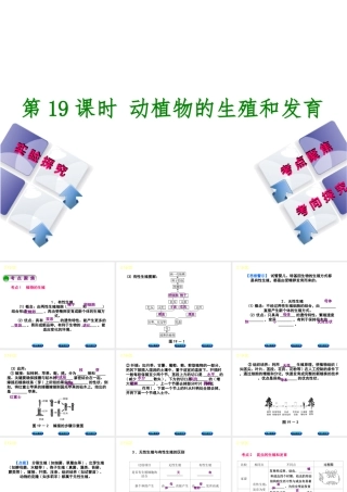 （北京专版）中考生物复习方案 主题七 生物的生殖、发育和遗传、变异 第19课时 动植物的生殖和发育课件-人教级全册生物课件