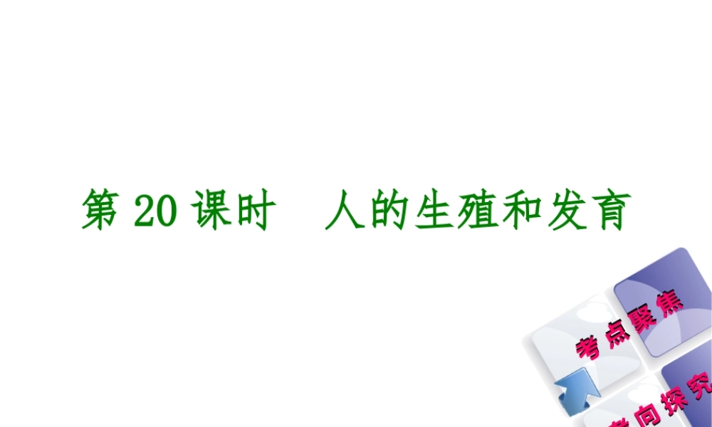 （北京专版）中考生物复习方案 主题七 生物的生殖、发育和遗传、变异 第20课时 人的生殖和发育课件-人教版初中九年级全册生物课件