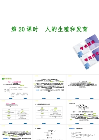 （北京专版）中考生物复习方案 主题七 生物的生殖、发育和遗传、变异 第20课时 人的生殖和发育课件-人教版初中九年级全册生物课件