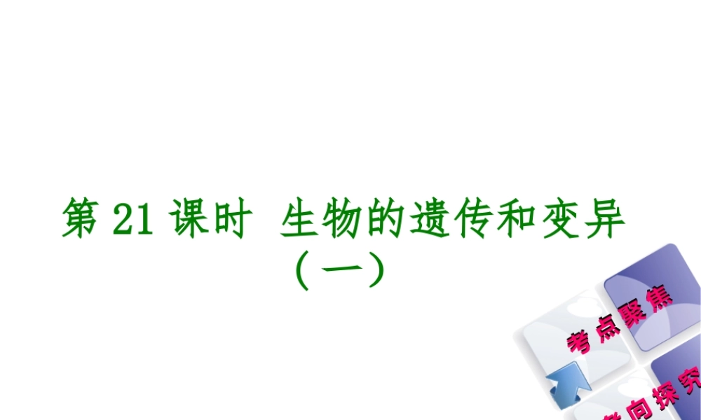 （北京专版）中考生物复习方案 主题七 生物的生殖、发育和遗传、变异 第21课时 生物的遗传和变异（一）课件-人教版初中九年级全册生物课件