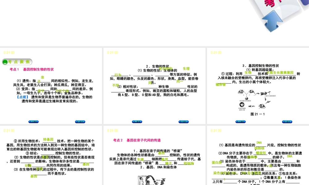 （北京专版）中考生物复习方案 主题七 生物的生殖、发育和遗传、变异 第21课时 生物的遗传和变异（一）课件-人教版初中九年级全册生物课件
