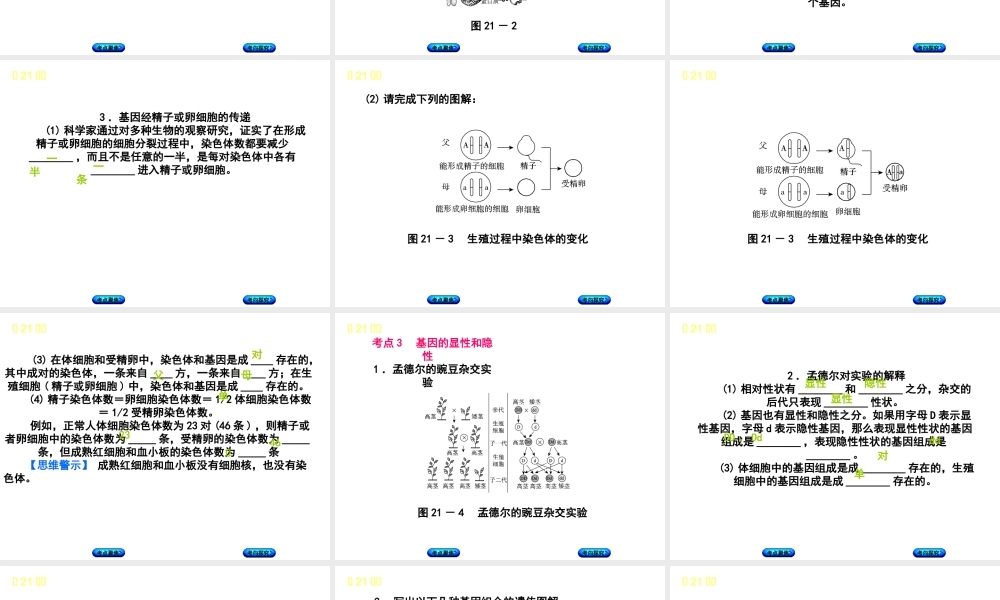 （北京专版）中考生物复习方案 主题七 生物的生殖、发育和遗传、变异 第21课时 生物的遗传和变异（一）课件-人教版初中九年级全册生物课件