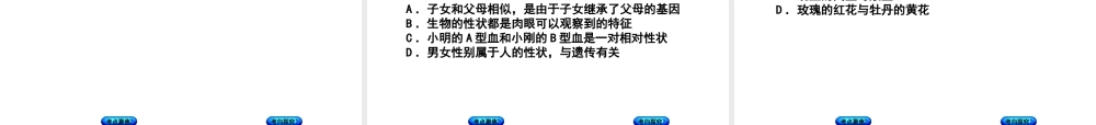 （北京专版）中考生物复习方案 主题七 生物的生殖、发育和遗传、变异 第21课时 生物的遗传和变异（一）课件-人教版初中九年级全册生物课件